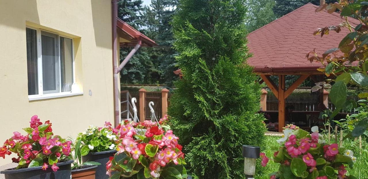 Casa Galbena Hotel Slănic Exterior foto