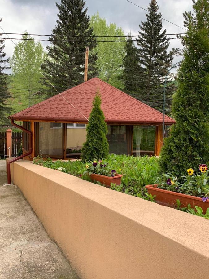Casa Galbena Hotel Slănic Exterior foto