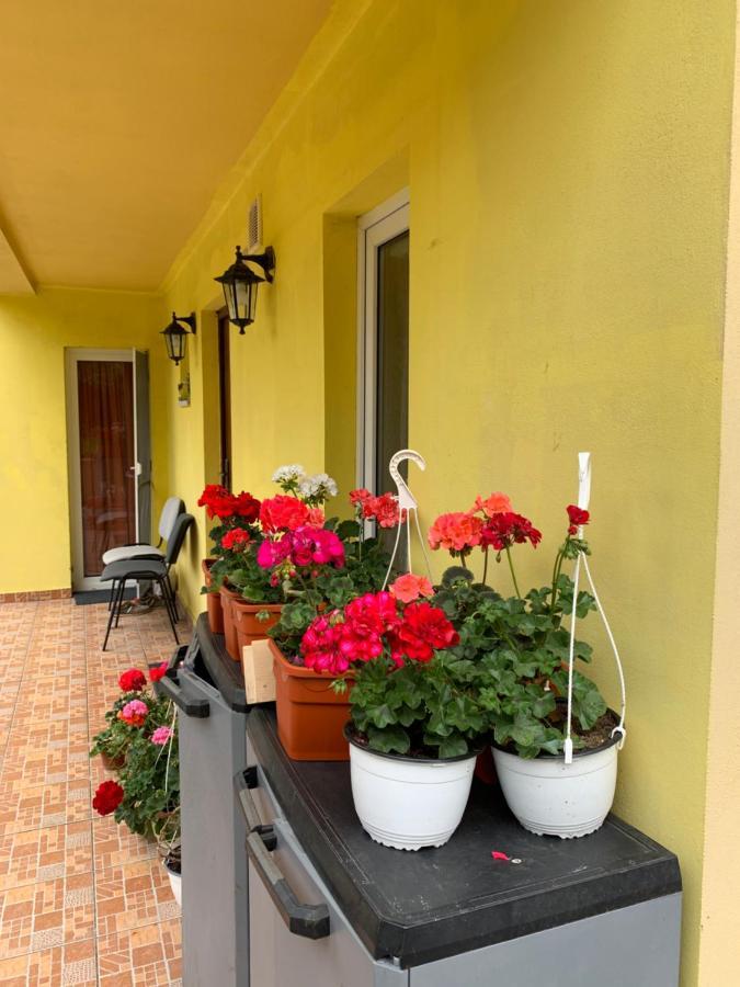 Casa Galbena Hotel Slănic Exterior foto